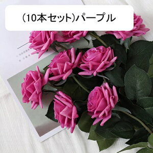  [Y tFCN ỏԑ u[P ͂Ȃ bsv A[gt[ CeA LO ސE ̓ hV̓ v[g j rO EGfBO   AW I