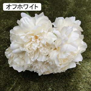 O  CeA A[gt[ ͂Ȃ ڂ ԑ A 51 tFCNt[ Ԃ̂ EFfBO lHԃu[P FI   i u p[eB[/iX/