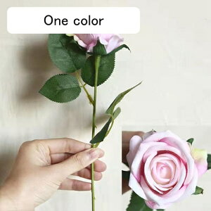 [Y  tFCNt[ ỏԑ u[P ͂Ȃ Y }eBbN A[gt[ CeA LO o^C v[g j rO  EGfBO  