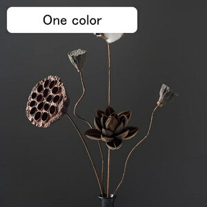 TӉԉ t[AWg  ỉ ͂Ȃ  aa @ ۂ חt ؖ d ~  hCt[ k  ΂̗tt tOX  Mtg 