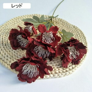  O CeA A[gt[ ͂Ȃ ڂԑ A lHAӏ tFCNt[ 2{ZbgZbg VNt[ Ԃ̂ EFfBO u[P FI  u z