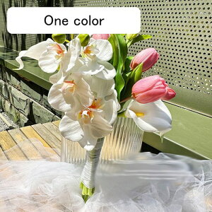 EGfBOu[P ԉŃu[P u[PgX `[bv k tFCNt[  ԑ v|[Y  uC_ j f Be Gߏ Ԃ݂ bsv Ce