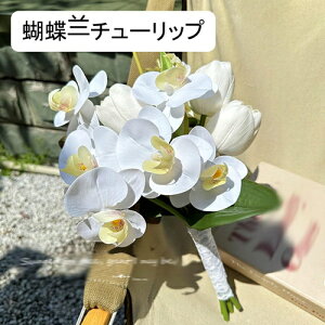 EGfBOu[P ԉŃu[P u[PgX `[bv k tFCNt[  ԑ v|[Y  uC_ j f Be Gߏ Ԃ݂ bsv Ce