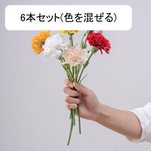  J[l[V o CeA tFCNt[ VNt[ sv ͂Ȃ A[gt[ t[AW k A  e[u DIY ԑ u[P Be