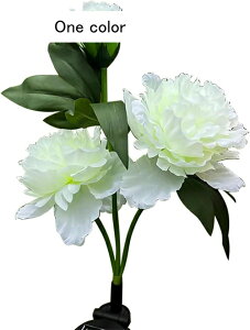 \[[Cg 뉀Cg O  tFCNt[ 3 4{ uCg _ drsv h H|i ԑ J[ dF 뉀 b   O AEghA K[f fR