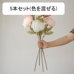 O  CeA tFCNt[ VNt[ sv ͂Ȃ A[gt[ t[AW k A  ƒ둕 DIY ԑ u[P Be X܏ EFfB