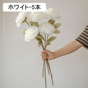 O  CeA tFCNt[ VNt[ sv ͂Ȃ A[gt[ t[AW k A  ƒ둕 DIY ԑ u[P Be X܏ EFfB