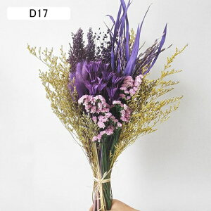 u[P CeAt[ ݑ Ioi ؖ ԑ hCt[ vU[uht[   rO ݑ Vzj A o[Xf[ ̓ VN  v[g ޏփTv