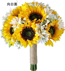 EGfBOu[P  ԉŃu[P u[P u[PgX ԏ VNt[ ԑ ĕ  uC_ j f p z[ 뉀 Lb` Ԃ݂ bsv v