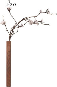 Ǐ ӓ   ǂɂ ؐ ؐԕr I lHϗtA CeA JȂ ԉԑ ǂȂ ȒPt  rO/ʏ/Lb`/gC/