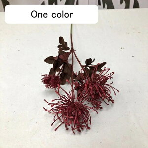 A[gt[ e  ͂Ȃ CeA ԑ I[ig t[ 2 u[P ] z  Be hV̓ Mtg v[g Mtg ꂢ  k A ϑސF