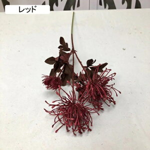 A[gt[ e  ͂Ȃ CeA ԑ I[ig t[ 2 u[P ] z  Be hV̓ Mtg v[g Mtg ꂢ  k A ϑސF