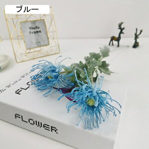 A[gt[ e  ͂Ȃ CeA ԑ I[ig t[ 2 u[P ] z  Be hV̓ Mtg v[g Mtg ꂢ  k A ϑސF