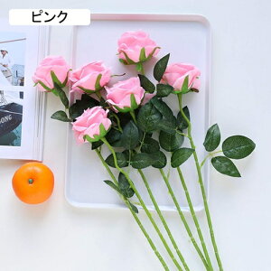  CeA o KN 5{  ͂Ȃ A[gt[ ̓v[g Mtg 킢 j   X iX  p[eB[ a ԑ 蕨̉ lHϗtA