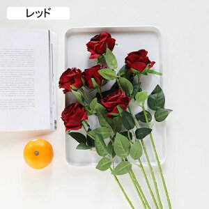  CeA o KN 5{  ͂Ȃ A[gt[ ̓v[g Mtg 킢 j   X iX  p[eB[ a ԑ 蕨̉ lHϗtA