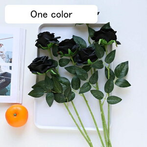  CeA o KN 5{  ͂Ȃ A[gt[ ̓v[g Mtg 킢 j   X iX  p[eB[ a ԑ 蕨̉ lHϗtA