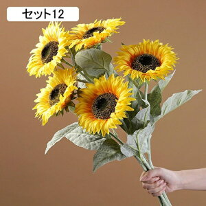  CeA  Ђ܂ ԃZbg tFCNt[ lH z Y k  Vzj ]j JXj z[ X e[u er u  t[A