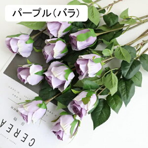  CeA F 10{ [Y o KN ͂Ȃ A[gt[ ̓v[g Mtg 킢 j   X iX  p[eB[ a ԑ 蕨̉