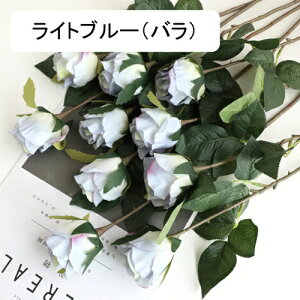  CeA F 10{ [Y o KN ͂Ȃ A[gt[ ̓v[g Mtg 킢 j   X iX  p[eB[ a ԑ 蕨̉