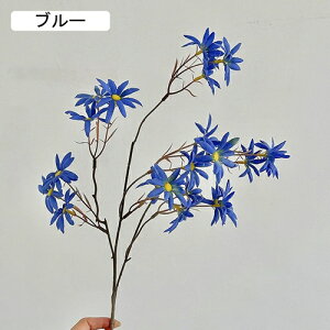   CeA  fCW[ 1{ ͂Ȃ Q   ItBX ̓  a j JXj  EFfBO p[eB[ v[g ʐ^ A[gt