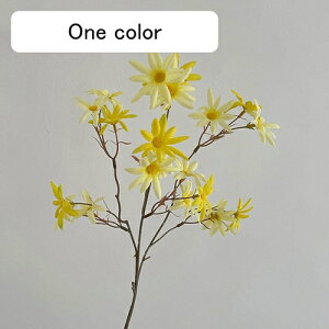   CeA  fCW[ 1{ ͂Ȃ Q   ItBX ̓  a j JXj  EFfBO p[eB[ v[g ʐ^ A[gt