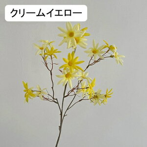   CeA  fCW[ 1{ ͂Ȃ Q   ItBX ̓  a j JXj  EFfBO p[eB[ v[g ʐ^ A[gt