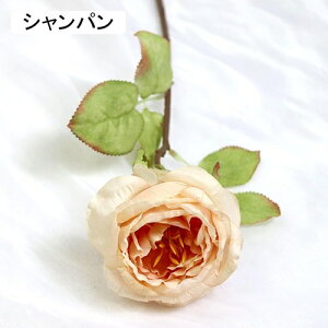   CeA  o 1{ ͂Ȃ Q   ItBX ̓  a j JXj  EFfBO p[eB[ v[g ʐ^ A[gt