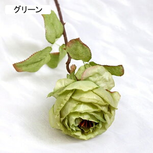   CeA  o 1{ ͂Ȃ Q   ItBX ̓  a j JXj  EFfBO p[eB[ v[g ʐ^ A[gt