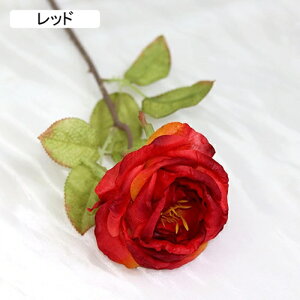   CeA  o 1{ ͂Ȃ Q   ItBX ̓  a j JXj  EFfBO p[eB[ v[g ʐ^ A[gt