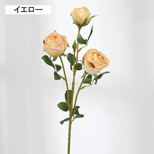   CeA  KN 1{ ͂Ȃ Q   ItBX ̓  a j JXj  EFfBO p[eB[ v[g ʐ^ A[gt