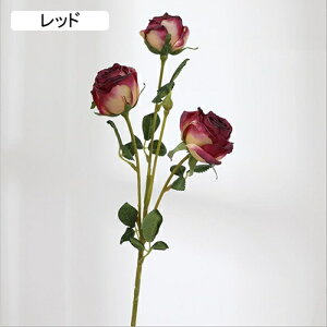   CeA  KN 1{ ͂Ȃ Q   ItBX ̓  a j JXj  EFfBO p[eB[ v[g ʐ^ A[gt