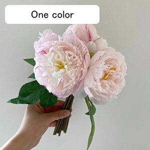   ԑ CeA  O ͂Ȃ Q   ItBX ̓  a j JXj  EFfBO p[eB[ v[g ʐ^ A[gt