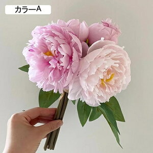   ԑ CeA  O ͂Ȃ Q   ItBX ̓  a j JXj  EFfBO p[eB[ v[g ʐ^ A[gt