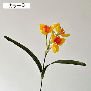   CeA  ̉ 1{ ͂Ȃ Q   ItBX ̓  a j JXj  EFfBO p[eB[ v[g ʐ^ A[gt