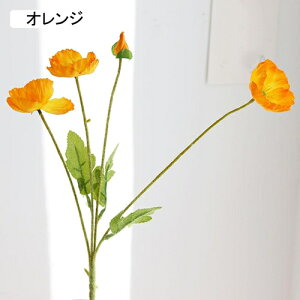   CeA  1{ ͂Ȃ Q   ItBX ̓  a j JXj  EFfBO p[eB[ v[g ʐ^ A[gt[ 