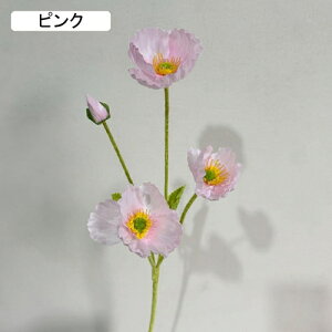   CeA  1{ ͂Ȃ Q   ItBX ̓  a j JXj  EFfBO p[eB[ v[g ʐ^ A[gt[ 