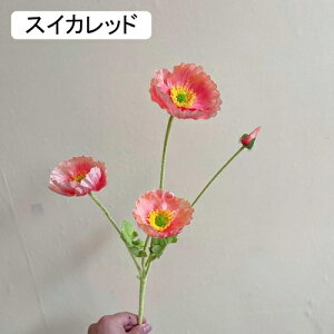   CeA  1{ ͂Ȃ Q   ItBX ̓  a j JXj  EFfBO p[eB[ v[g ʐ^ A[gt[ 