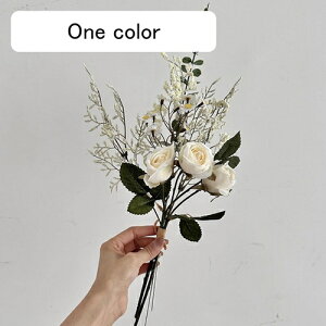   ԑ CeA  ͂Ȃ Q   ItBX ̓  a j JXj  EFfBO p[eB[ v[g ʐ^ A[gt[ 