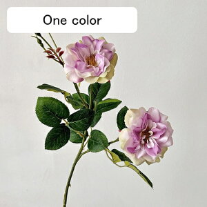   CeA  KN 1{ ͂Ȃ Q   ItBX ̓  a j JXj  EFfBO p[eB[ v[g ʐ^ A[gt