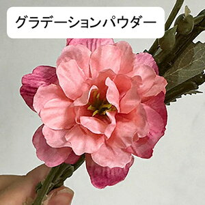   CeA  ւ̉ 1{ ͂Ȃ Q   ItBX ̓  a j JXj  EFfBO p[eB[ v[g ʐ^ A[gt