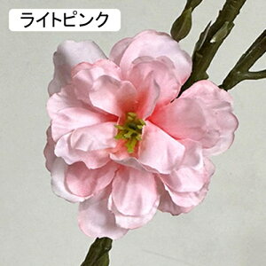   CeA  ւ̉ 1{ ͂Ȃ Q   ItBX ̓  a j JXj  EFfBO p[eB[ v[g ʐ^ A[gt