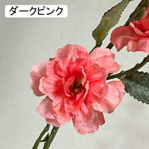   CeA  ւ̉ 1{ ͂Ȃ Q   ItBX ̓  a j JXj  EFfBO p[eB[ v[g ʐ^ A[gt