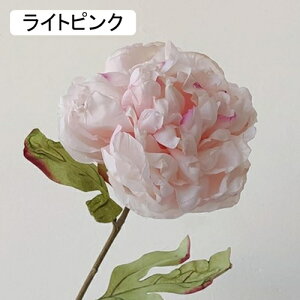   CeA  ڂ 1{ ͂Ȃ Q   ItBX ̓  a j JXj  EFfBO p[eB[ v[g ʐ^ A[gt