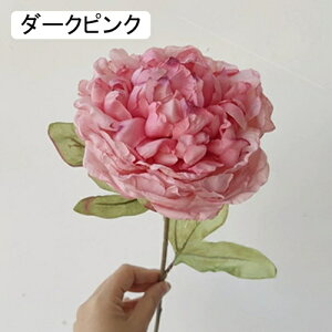   CeA  ڂ 1{ ͂Ȃ Q   ItBX ̓  a j JXj  EFfBO p[eB[ v[g ʐ^ A[gt