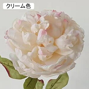   CeA  ڂ 1{ ͂Ȃ Q   ItBX ̓  a j JXj  EFfBO p[eB[ v[g ʐ^ A[gt