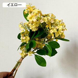   CeA  CbN 1 ͂Ȃ Q   ItBX ̓  a j JXj  EFfBO p[eB[ v[g ʐ^ A[g