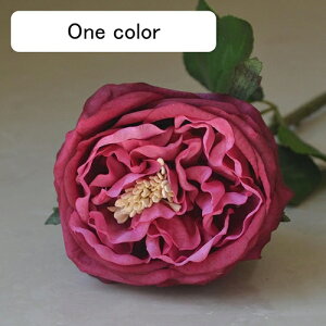   CeA  o 1{ ͂Ȃ Q   ItBX ̓  a j JXj  EFfBO p[eB[ v[g ʐ^ A[gt