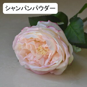   CeA  o 1{ ͂Ȃ Q   ItBX ̓  a j JXj  EFfBO p[eB[ v[g ʐ^ A[gt