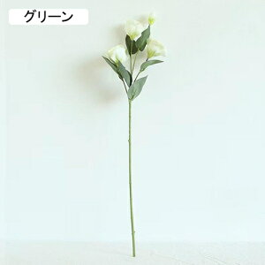   CeA  LLE 1{ ͂Ȃ Q   ItBX ̓  a j JXj  EFfBO p[eB[ v[g ʐ^ A[gt