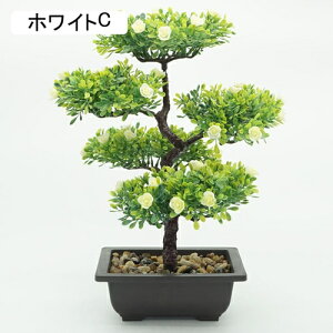   CeA ԕrt ͂Ȃ ~j A ~ {ɂ    Be v[g j  a rO x_  iX t[ u 